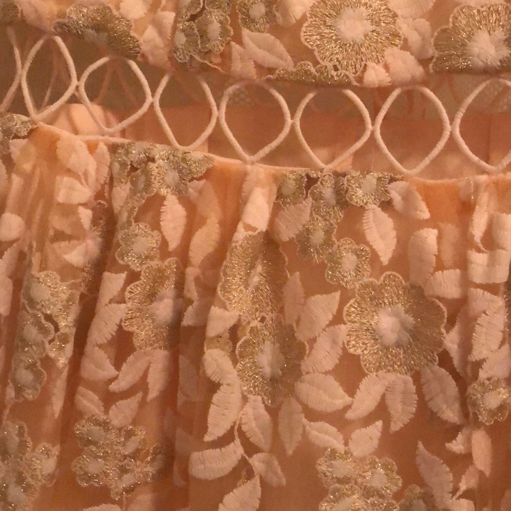 Elegant peach lace tool lined dress - Picture 4 of 6